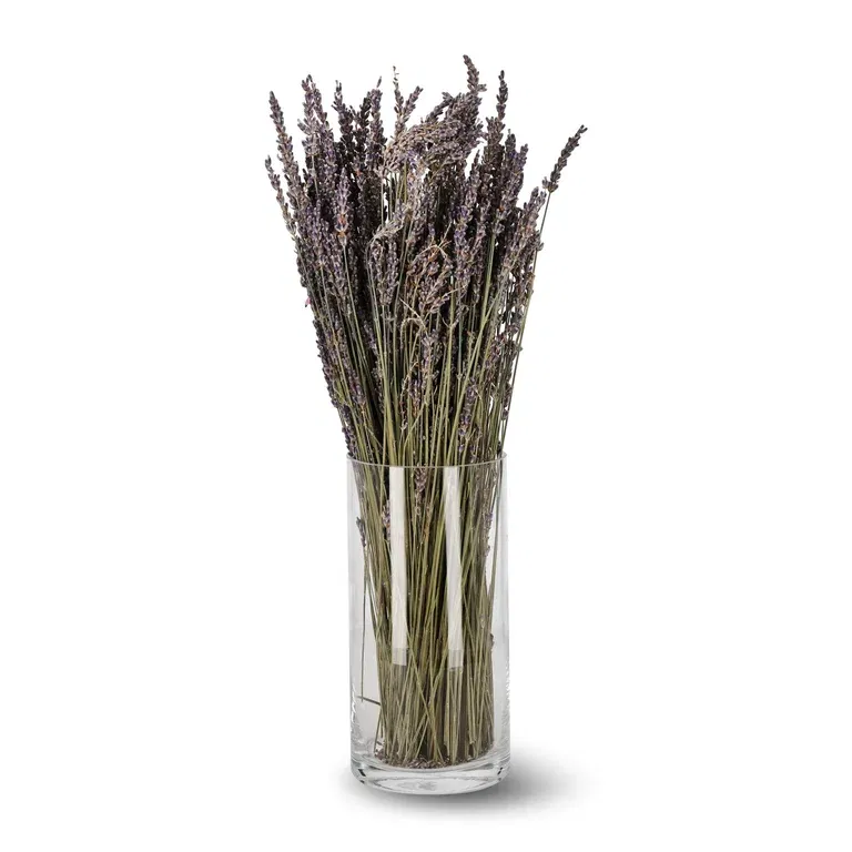 Lavendel Super Blue