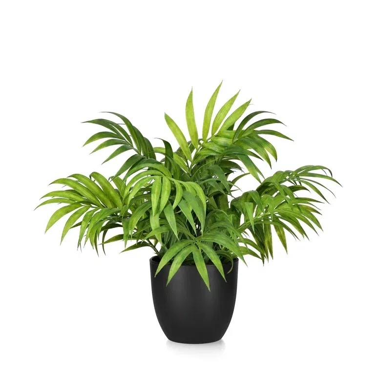 Dvergfjærpalme kunstig