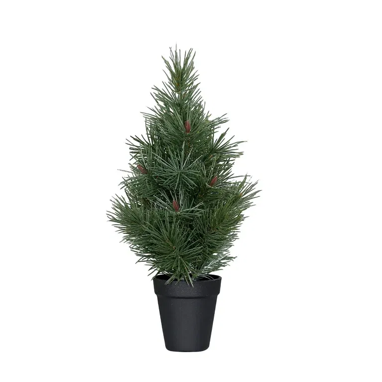 Pine tree in pot H40 green