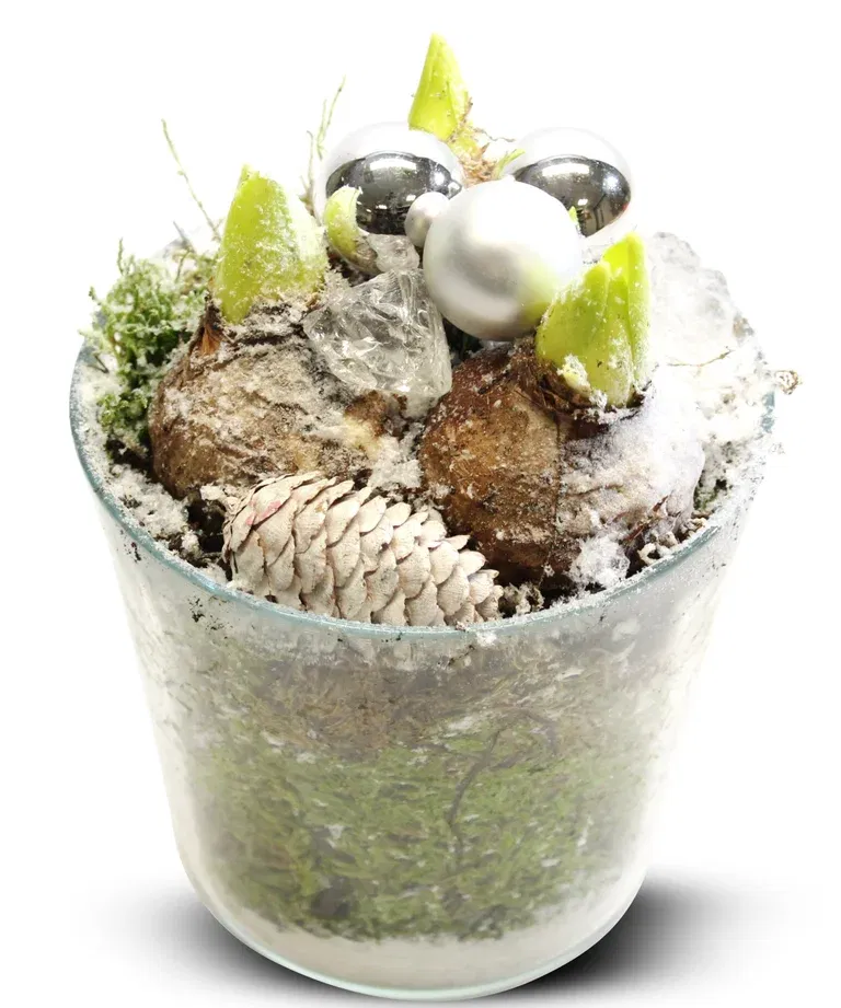 Hyacint glasspot 13cm