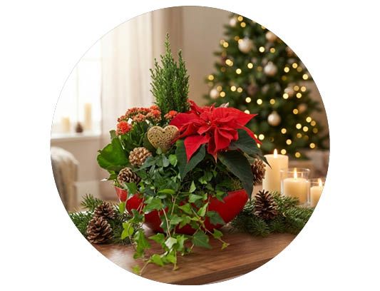 Image of Julegrupper 3 for 2