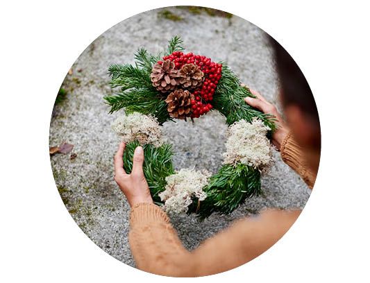 Image of Gravkranser