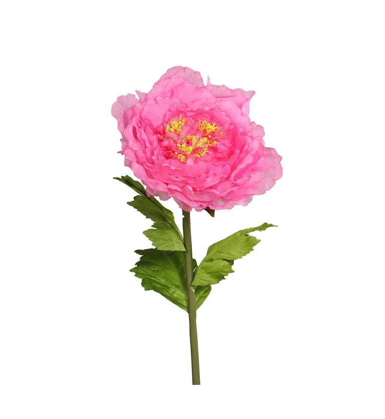 Pion snitt kunstig