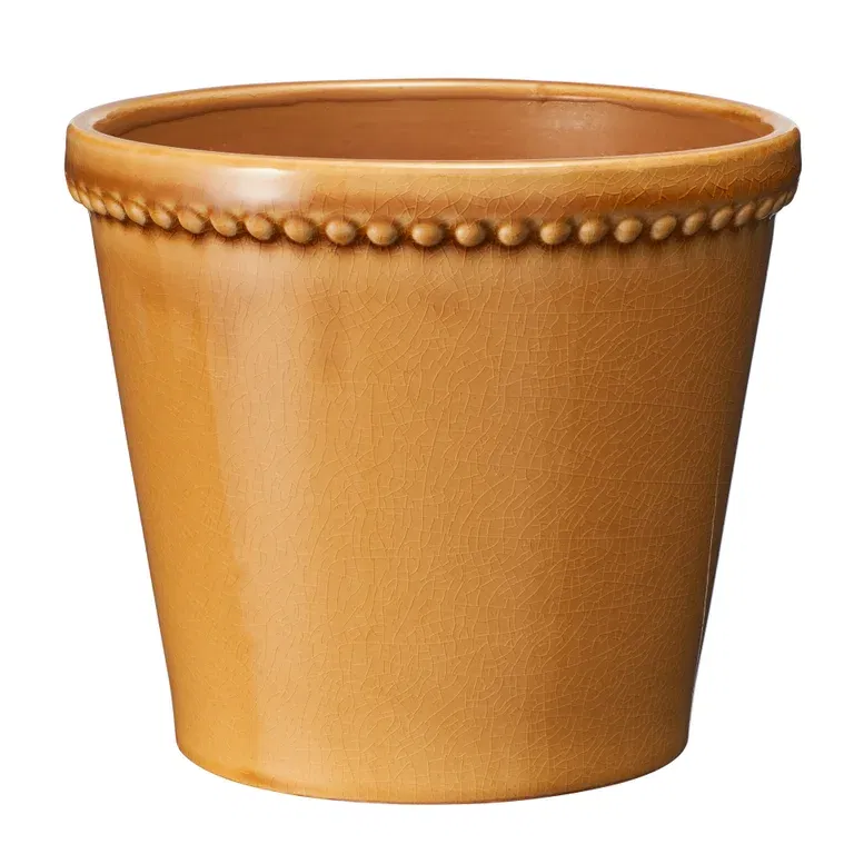 Potte Elliot