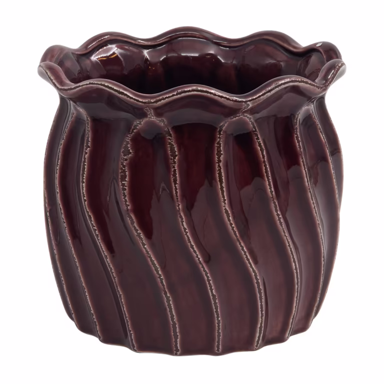 Potte Plum