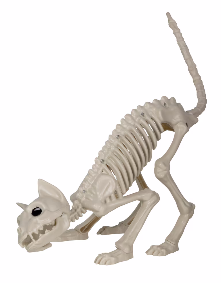  Halloweendekorasjon Katteskjelett