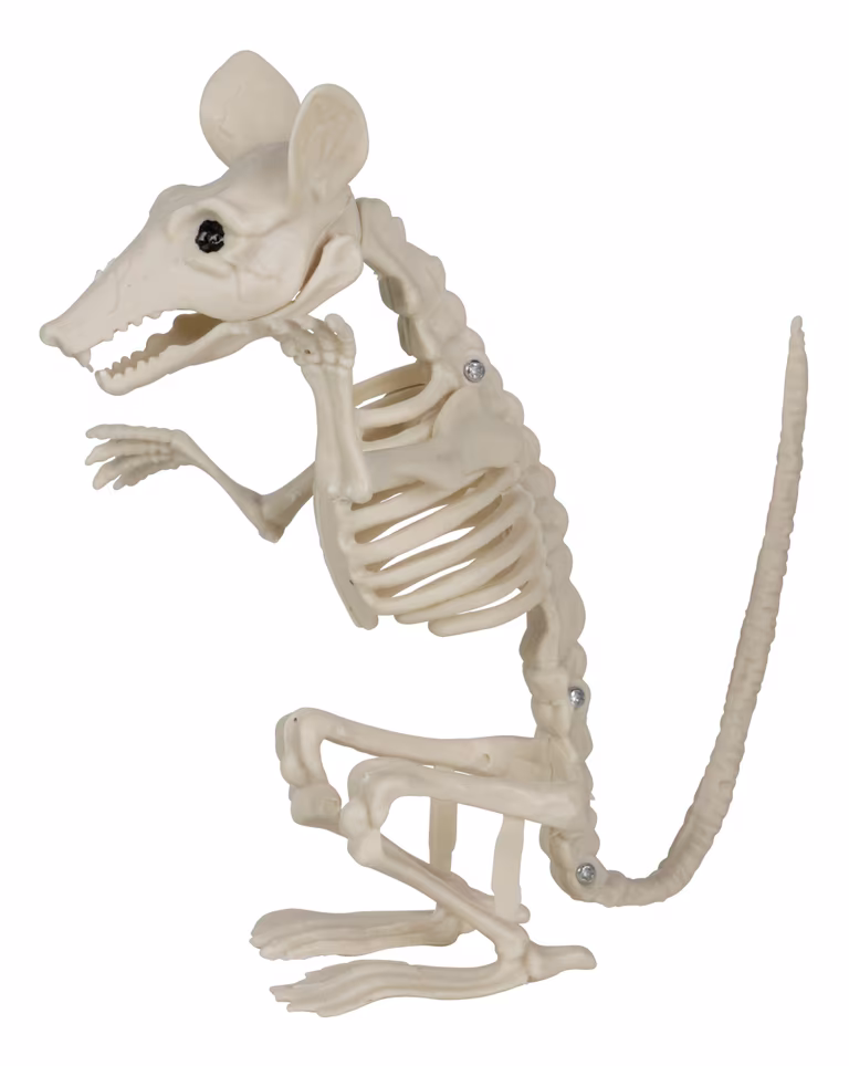 Halloweendekorasjon skjelettrotte