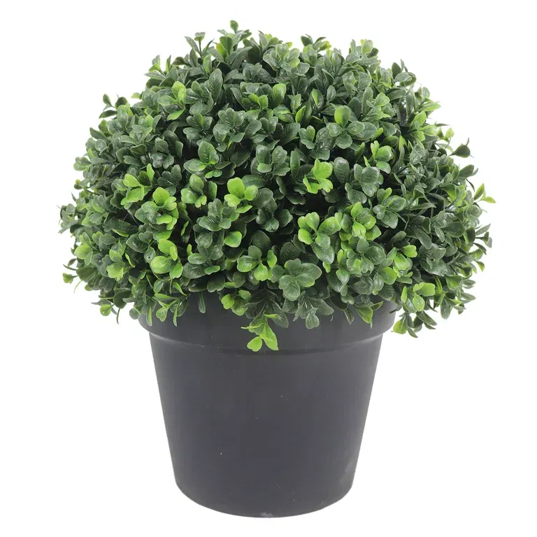 Buksbom i potte kunstig