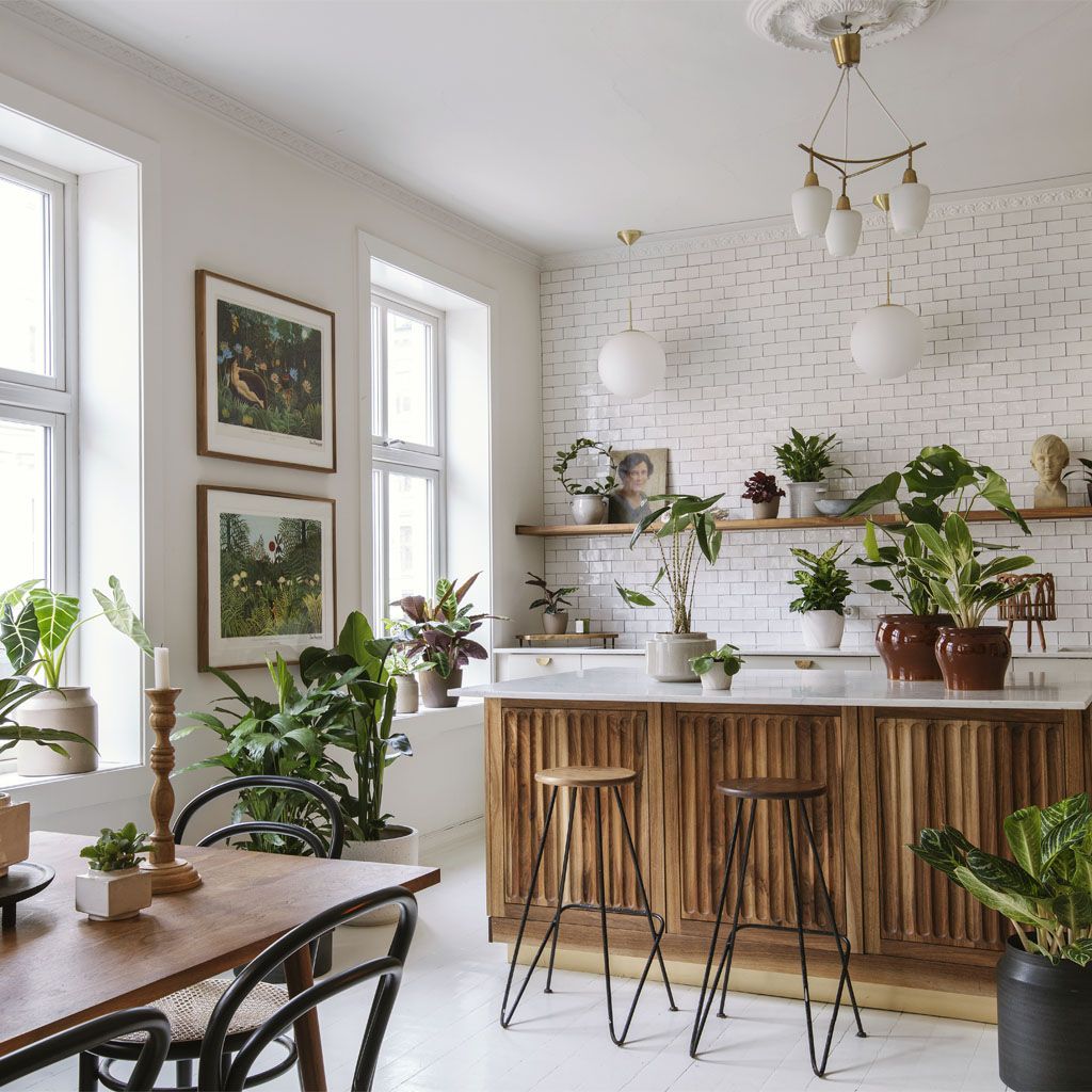 Image of Guide: Planter til små og store rom