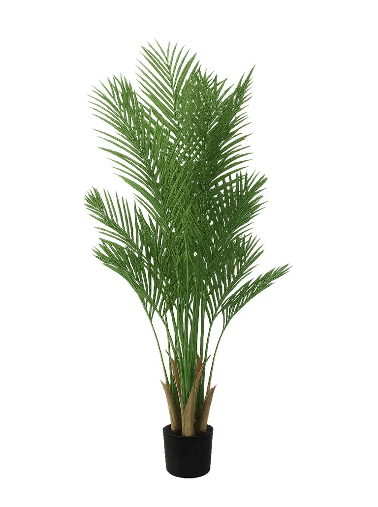 Chico palme kunstig