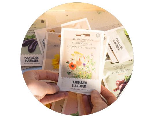 Image of Christmas lights 40%