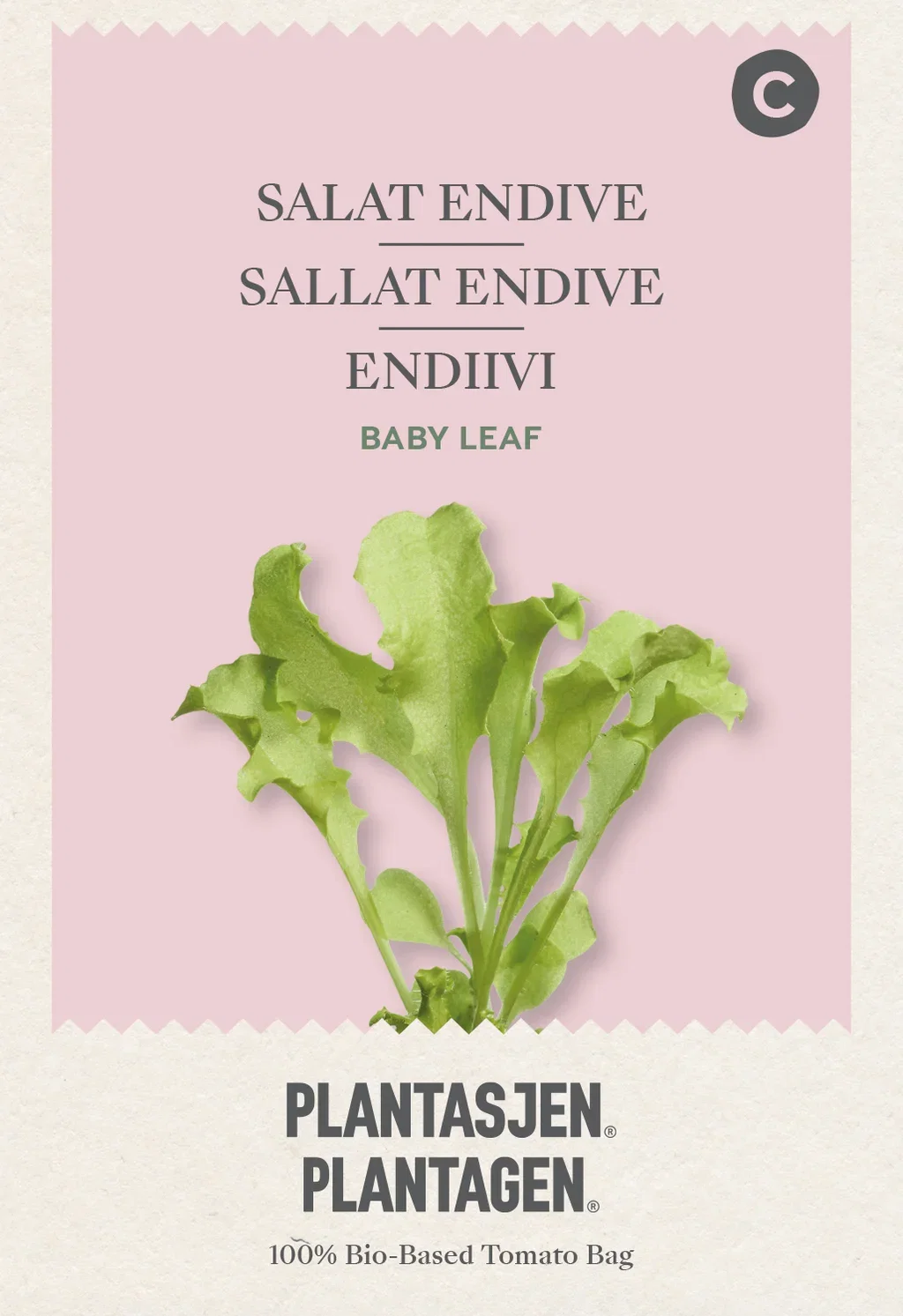 Babyleaf Salat Endive White curled