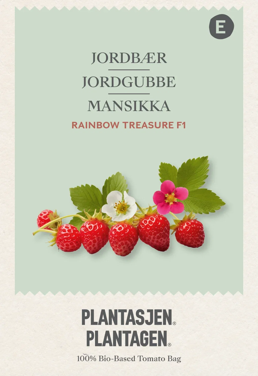 Jordbær 'Rainbow Treasure' F1