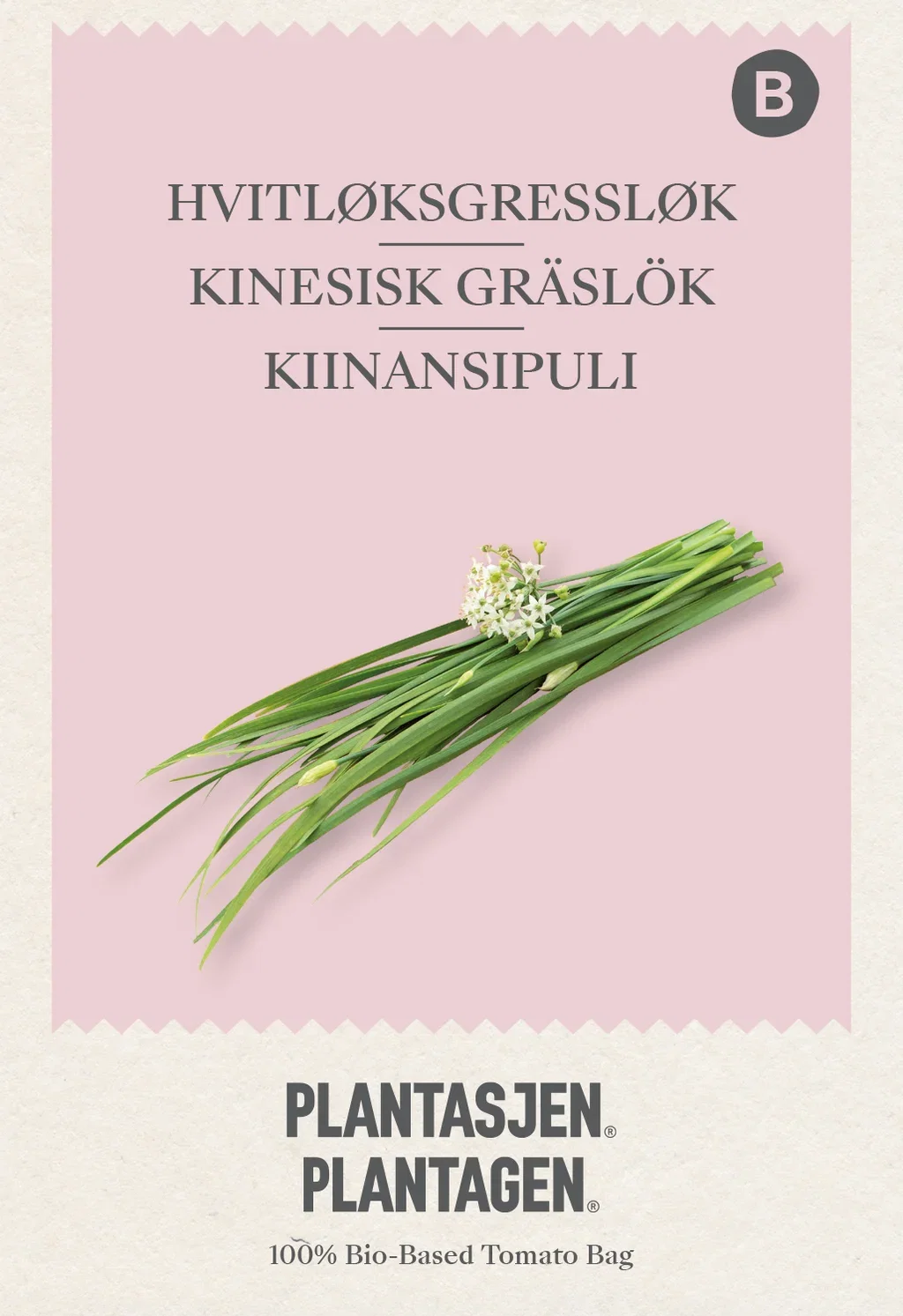 Hvitløksgressløk