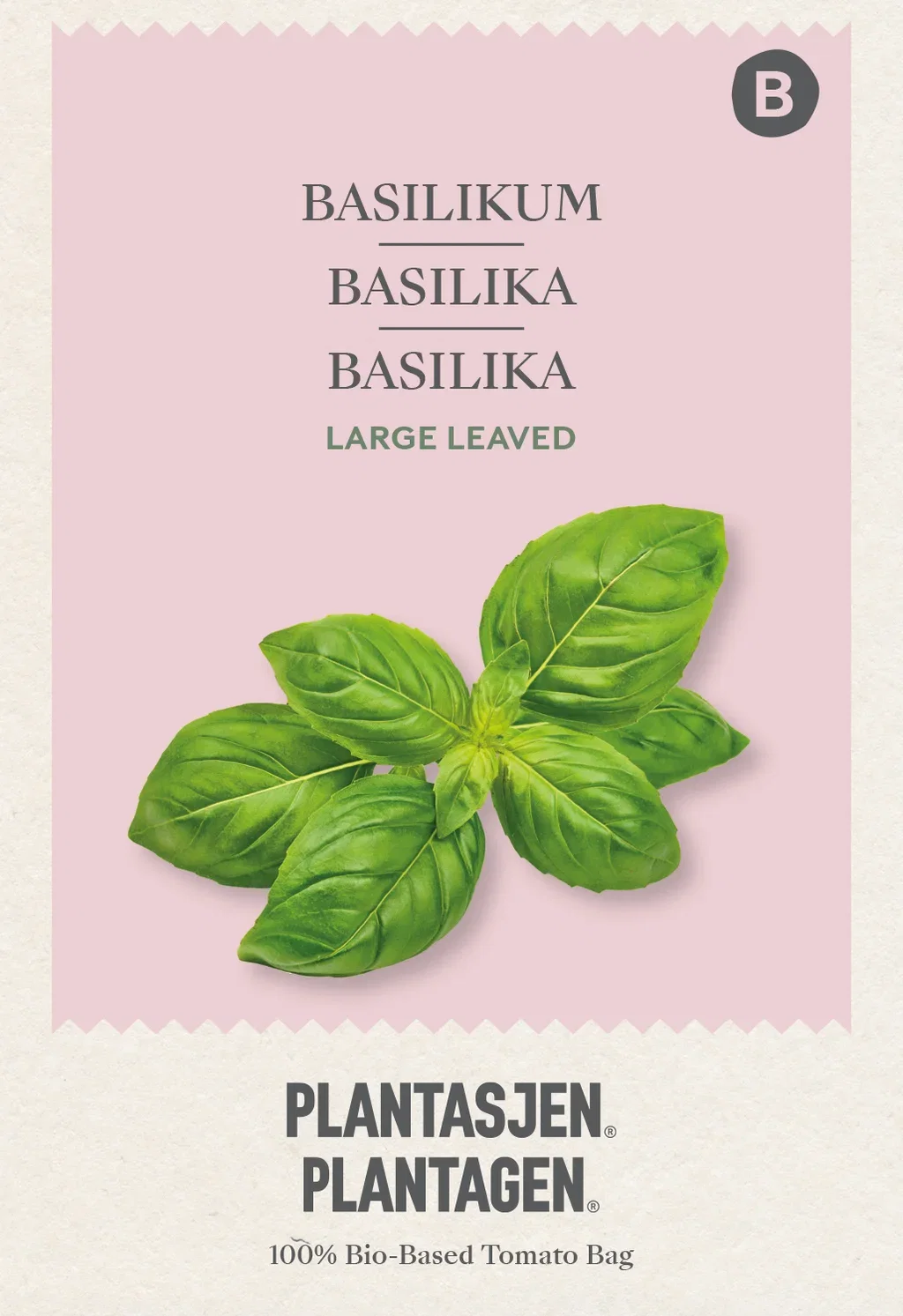 Basilikum 'Large leaved'