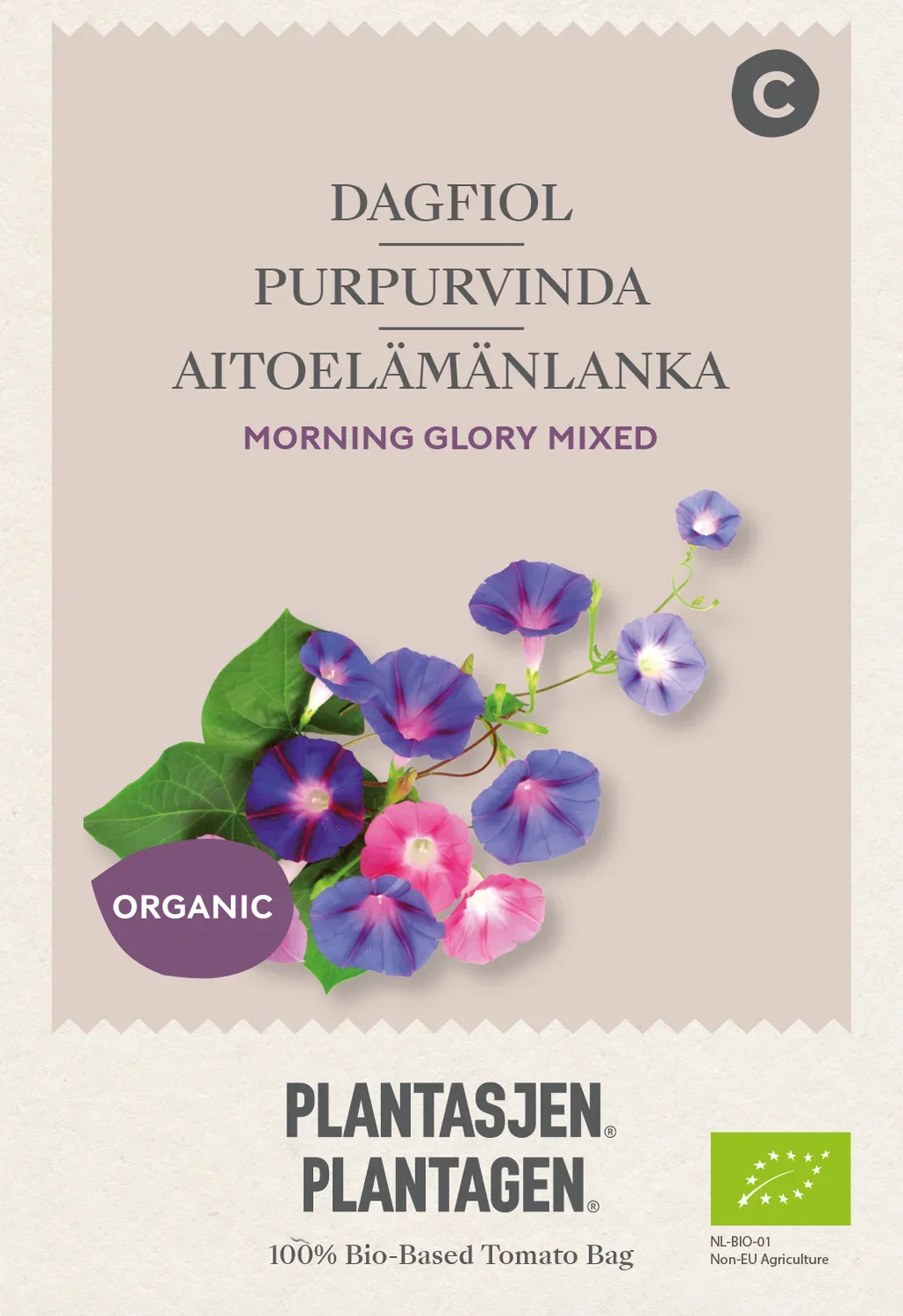 Dagfiol Morning Glory Mixed