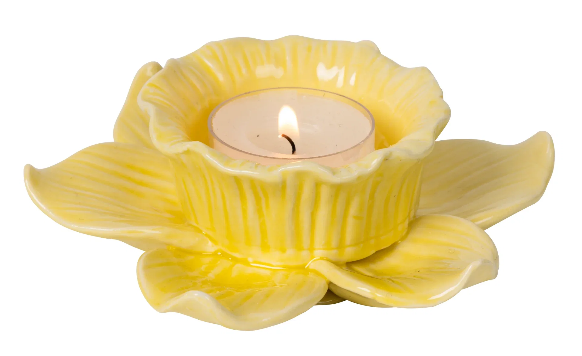 Candleholder Daffodil