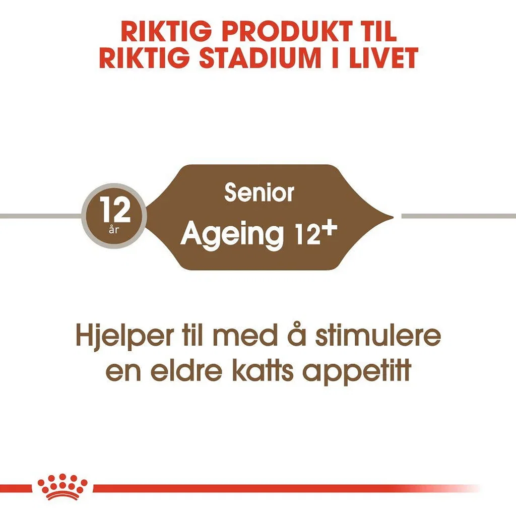 Ageing 12+ 4 kg