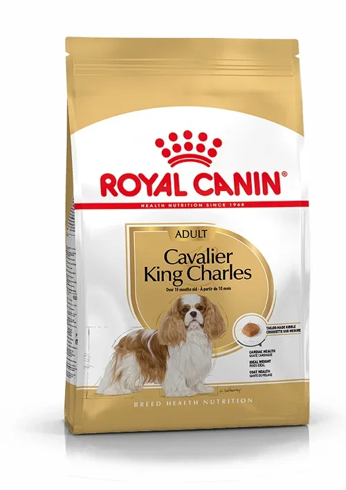 Cavalier King Charles Adult 1,5 kg
