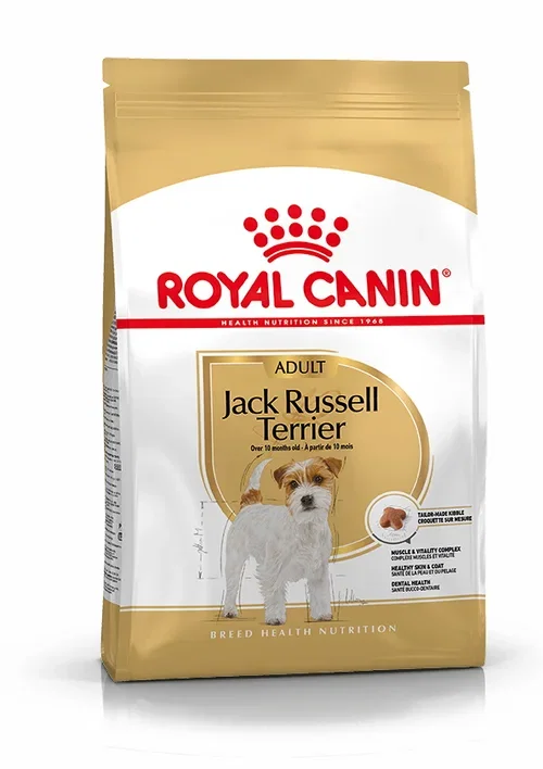 Royal Canin Jack russel Adult
