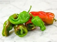 All N. Capsicum Chili 'Pimento de padrón' 10,5 cm