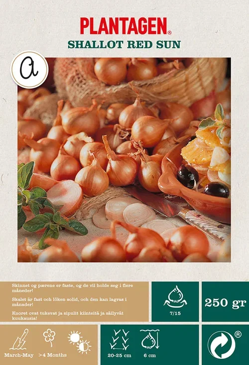 Sjalottløk 'Red Sun'