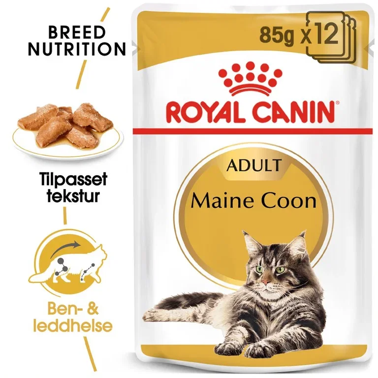 Royal Canin Maine coon Adult