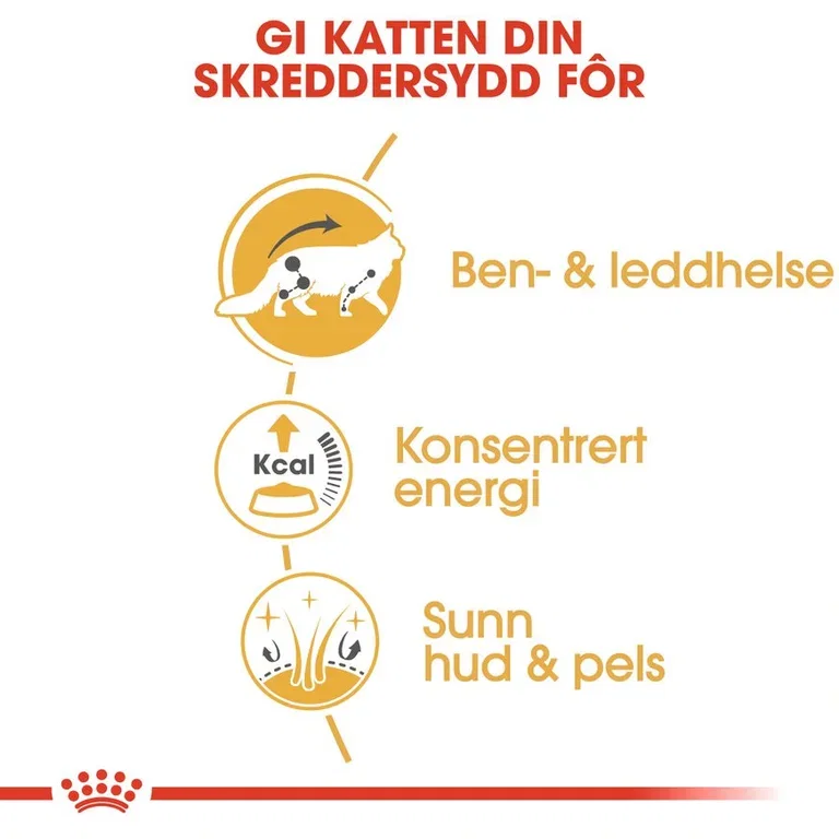 Royal Canin Maine coon Adult