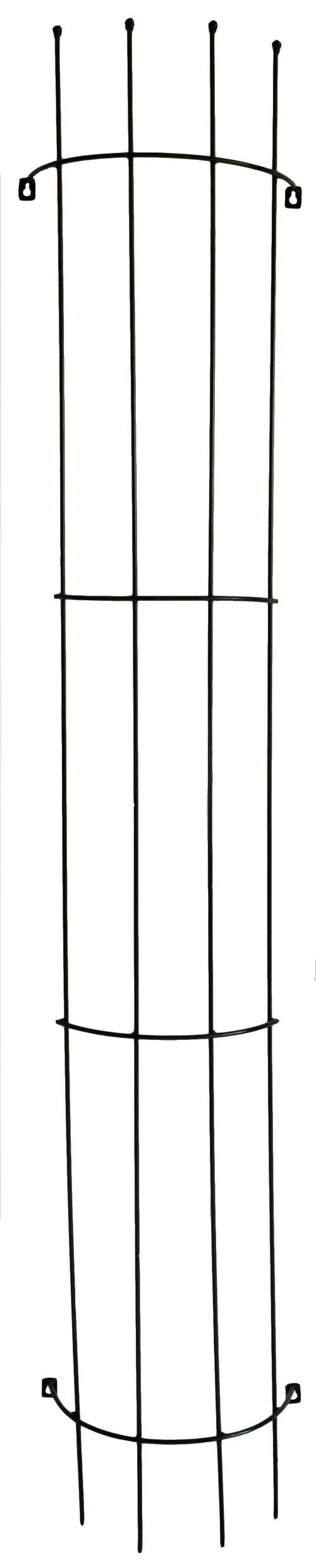 Espalier for vegg