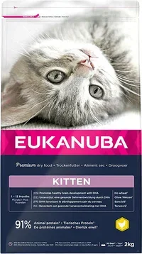 Kitten Healthy Start
