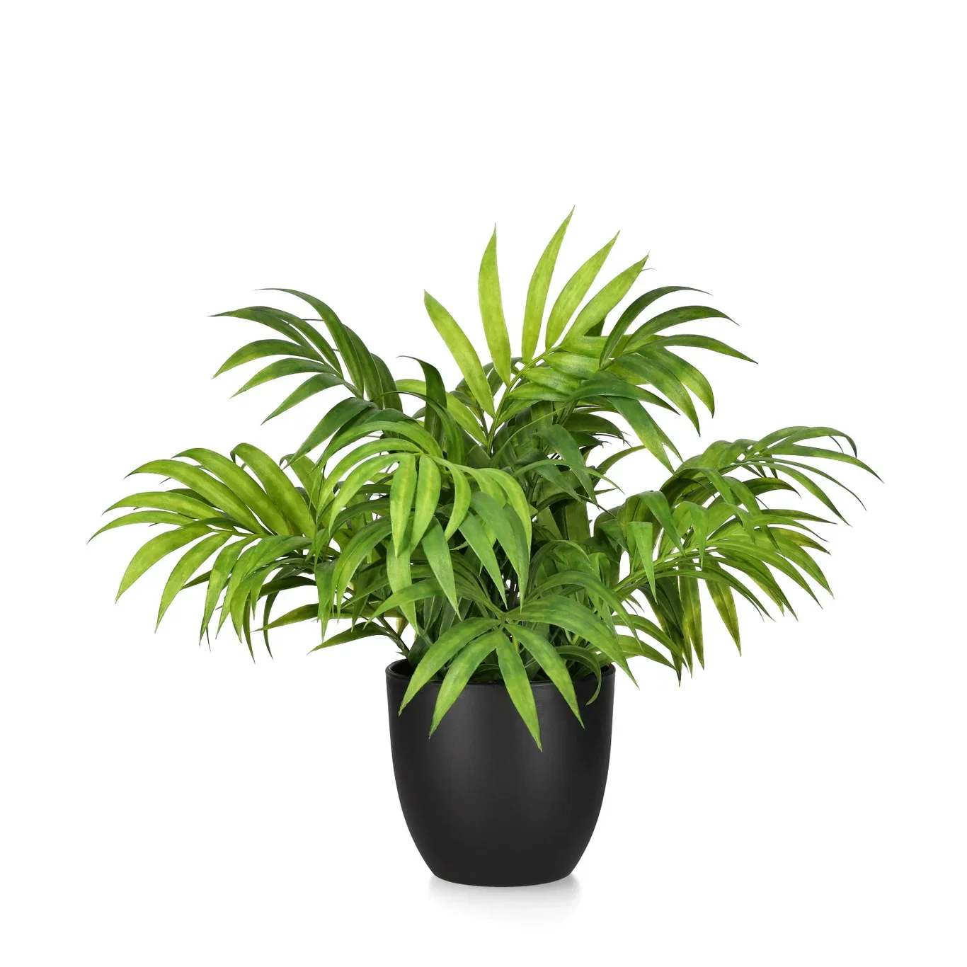 Dvergfjærpalme kunstig