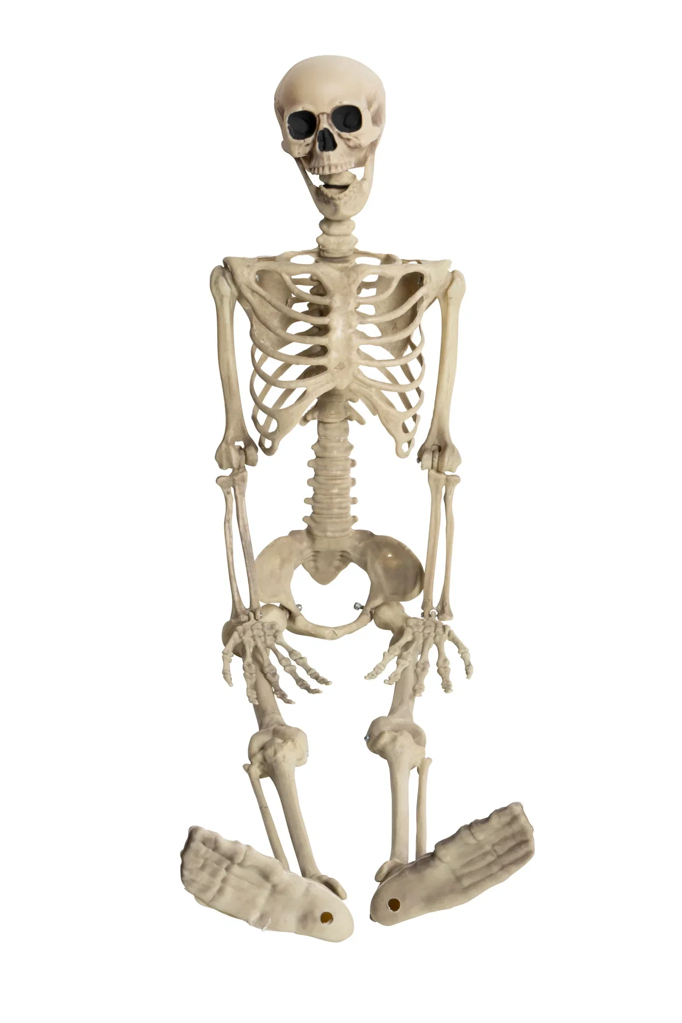Halloweendekorasjon Skjelett
