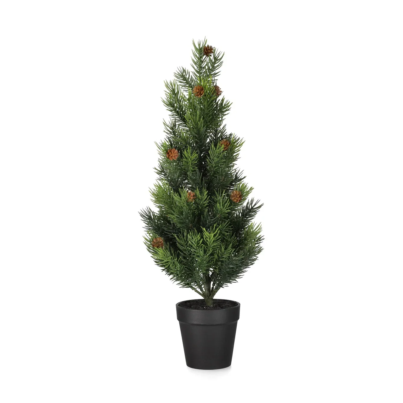 Pine w. cones in pot H47 green