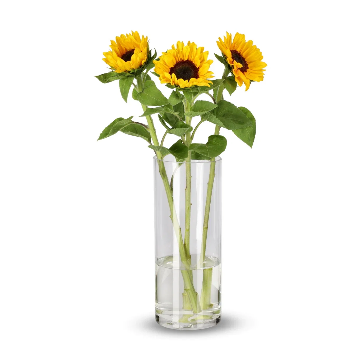 Solsikke 3pk