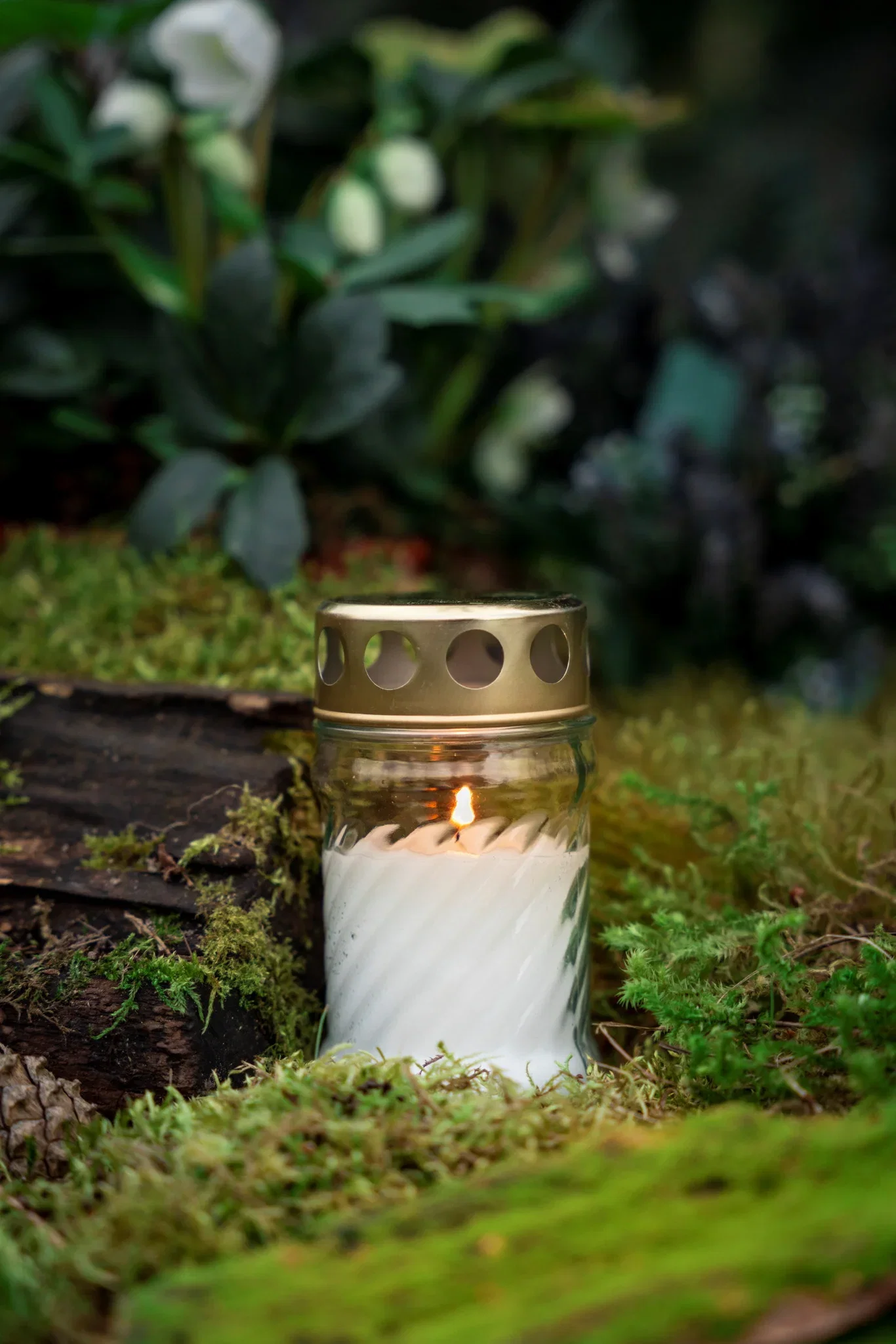 Lantern Mini Twist, 24H