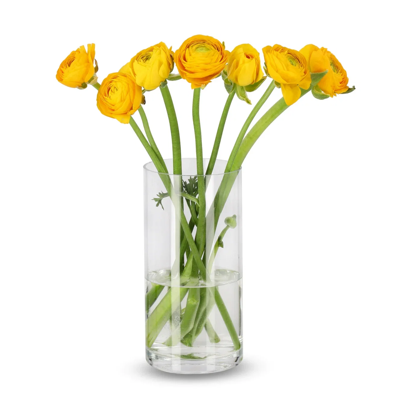 Ranunkelblanding 7stk