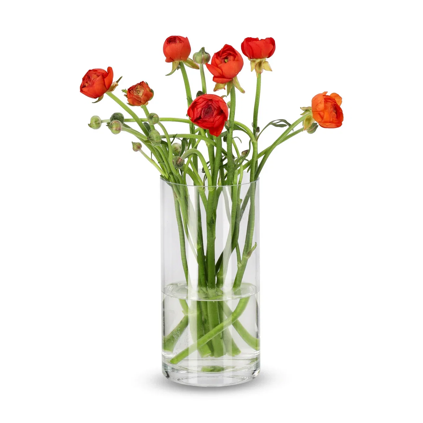 Ranunkelblanding 7stk