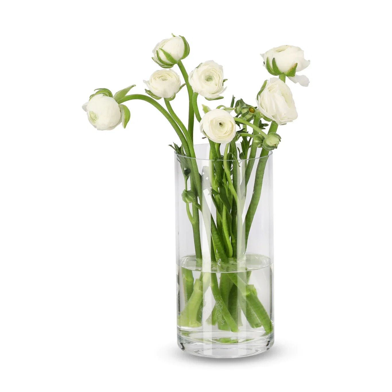 Ranunkelblanding 7stk