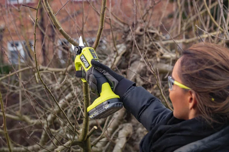 Secateurs RY18SCXA-0