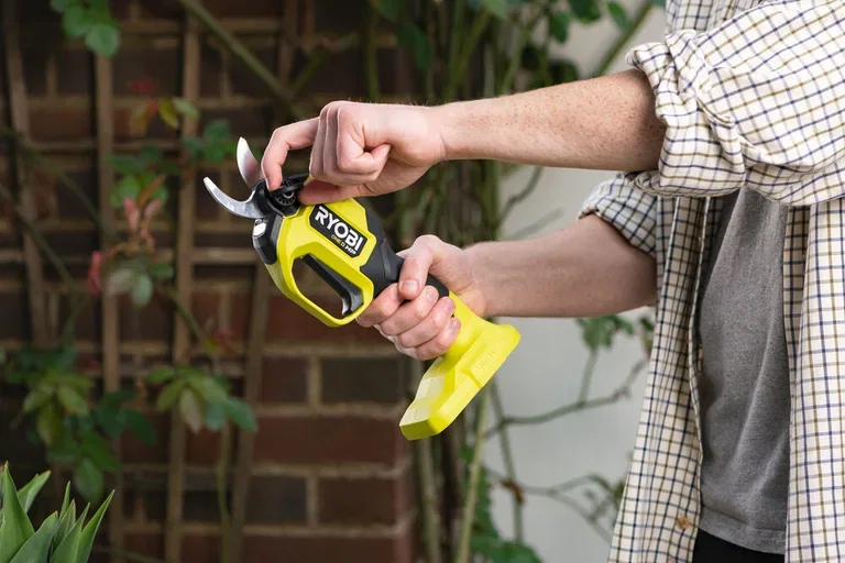 Secateurs RY18SCXA-0