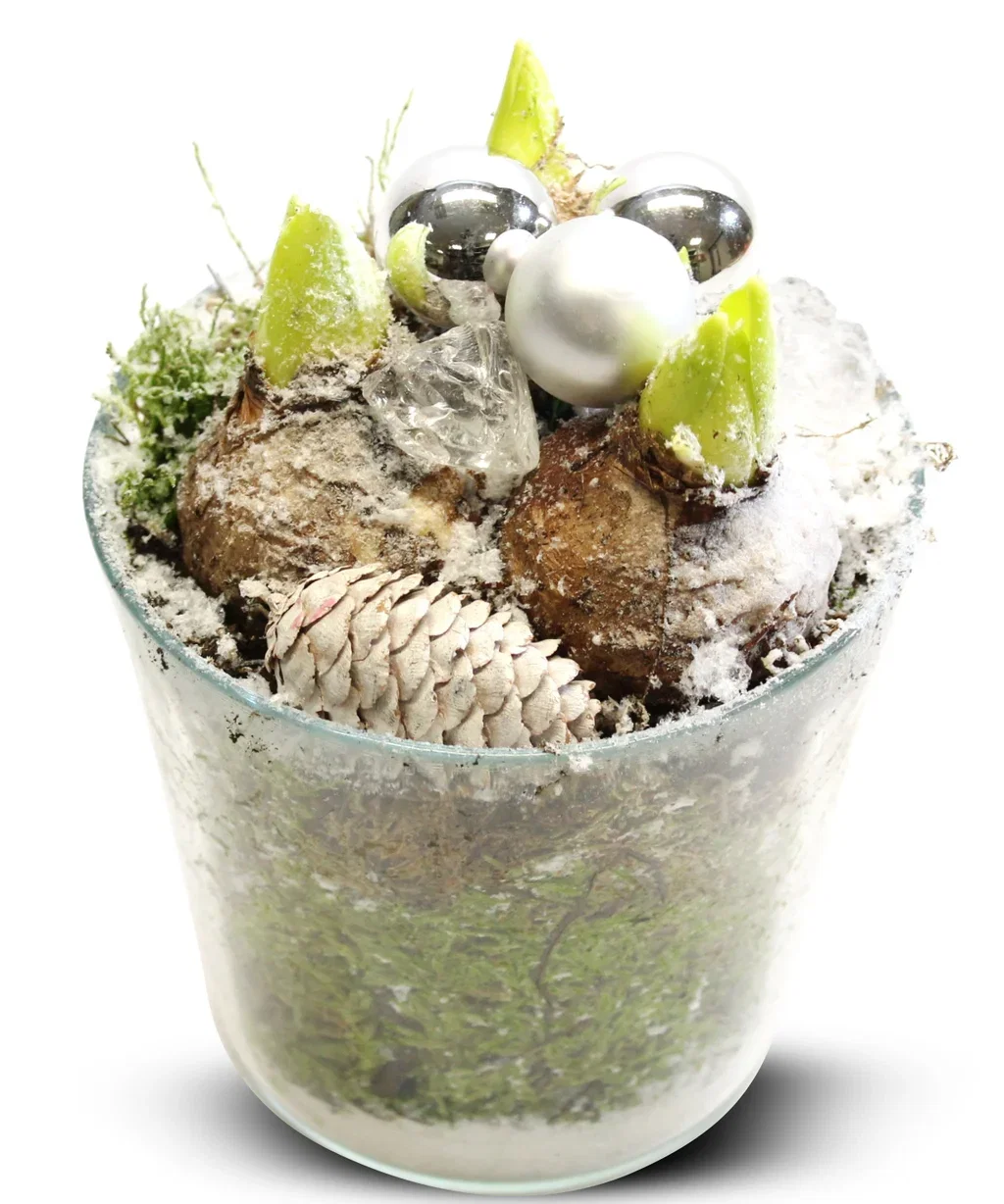 Hyacint glasspot 13cm