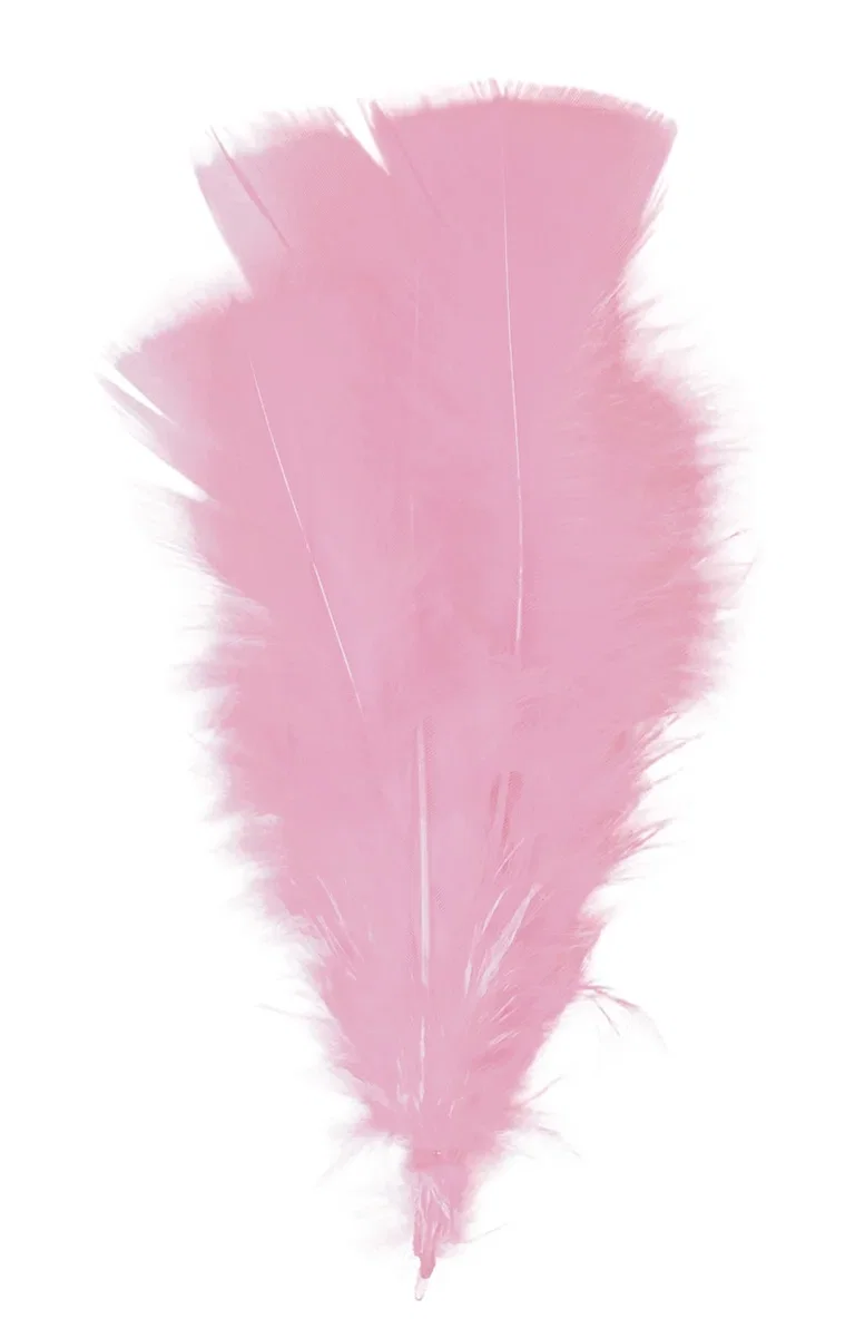 Easter decor Feather 