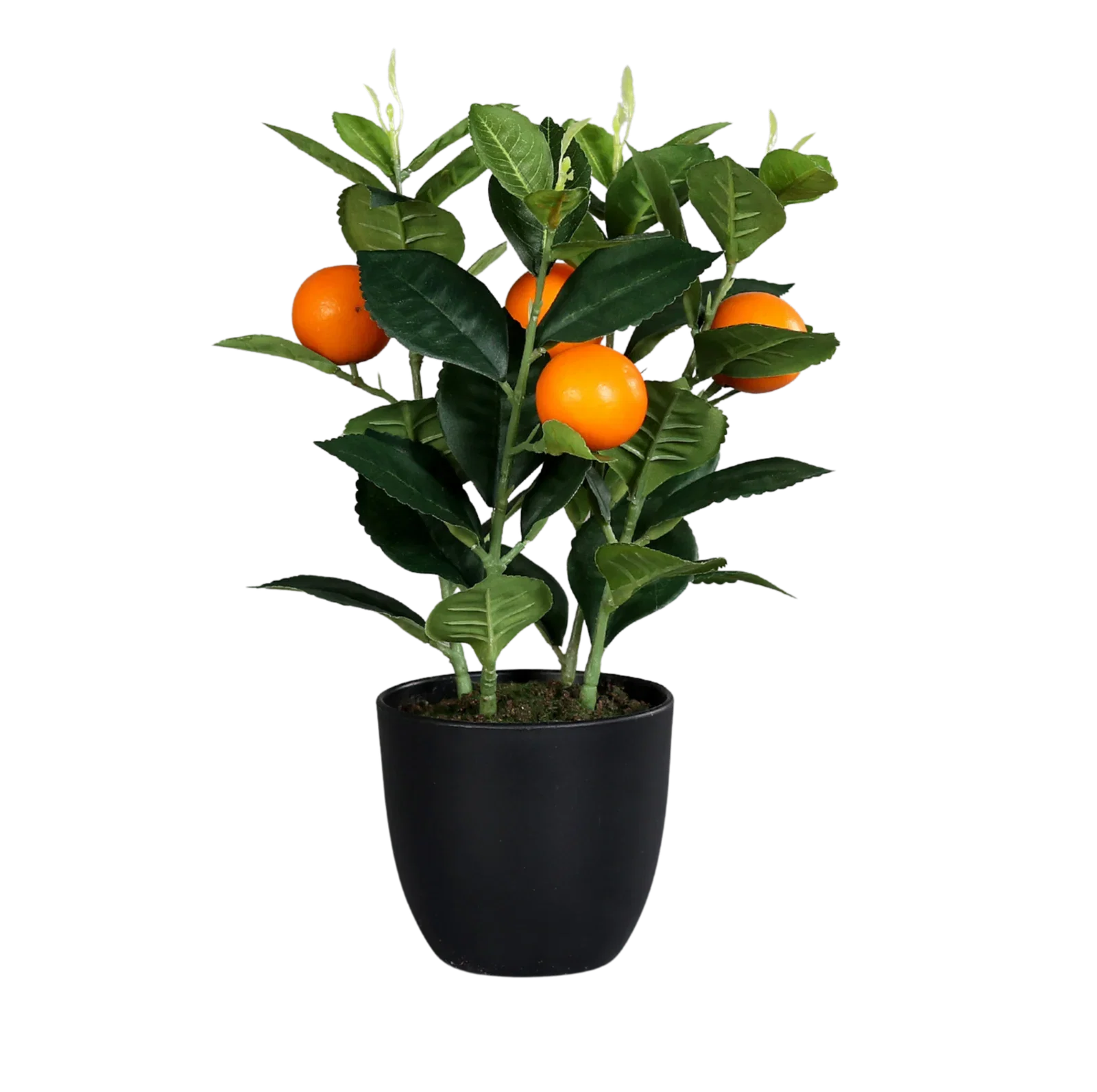 Sitrusplante kunstig