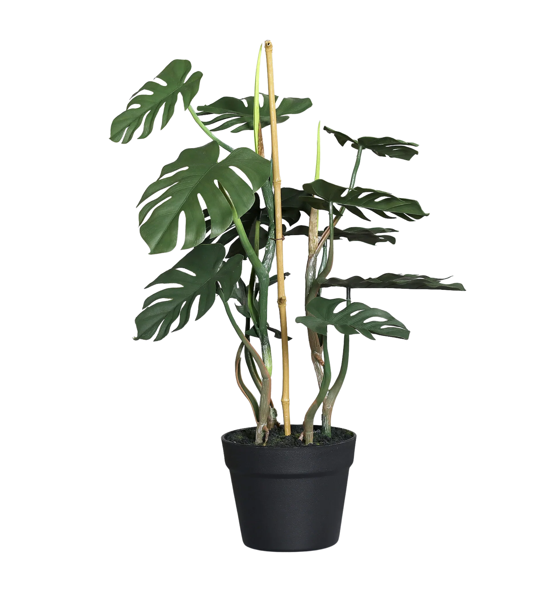 Monstera i potte kunstig