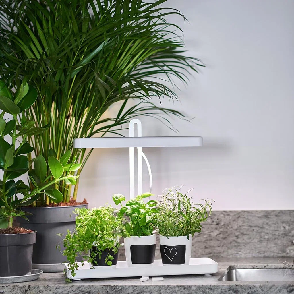 Plant lighting - facts and tips about growth lights and plant lights