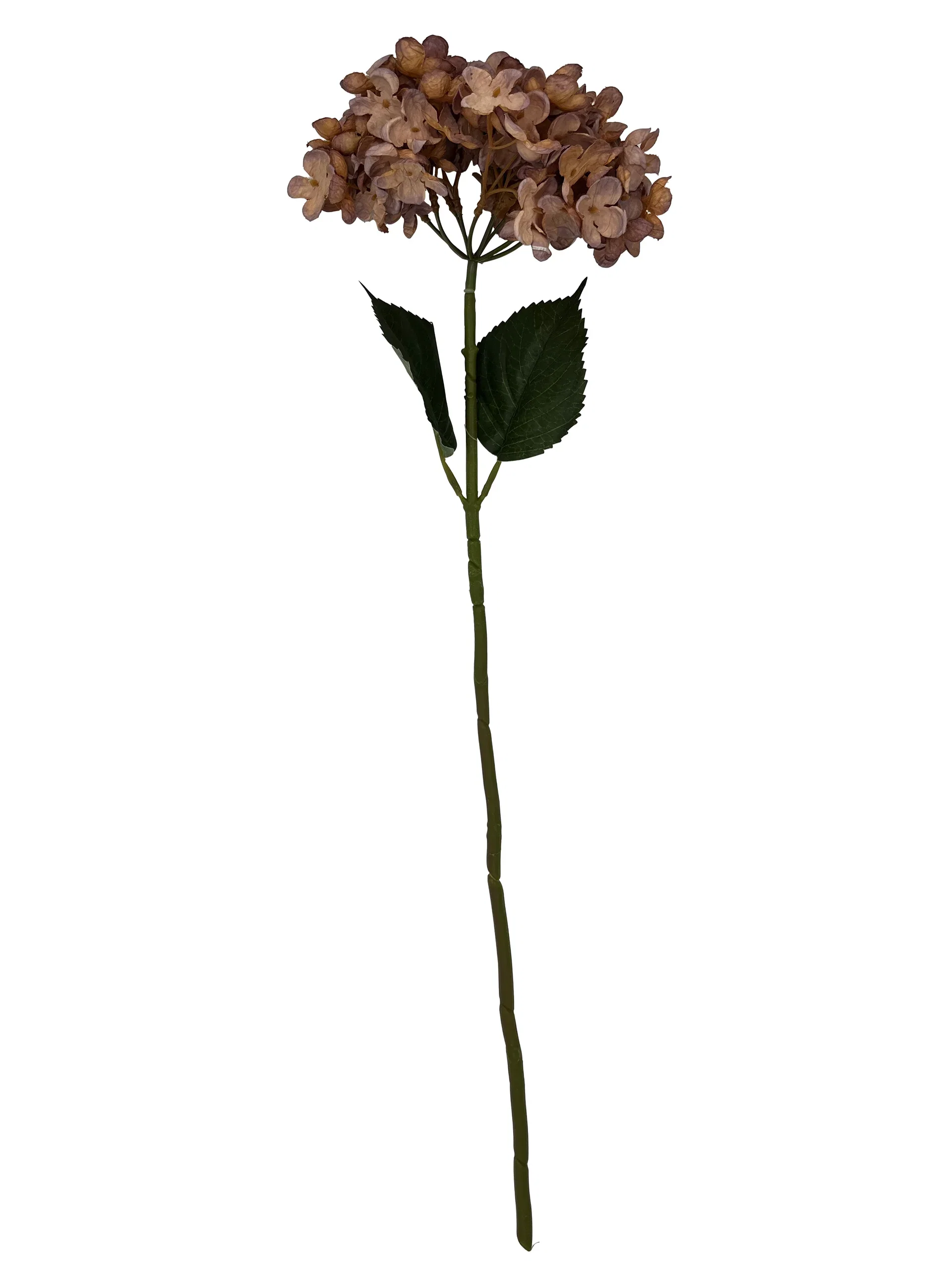 Hydrangea branch H60 purple