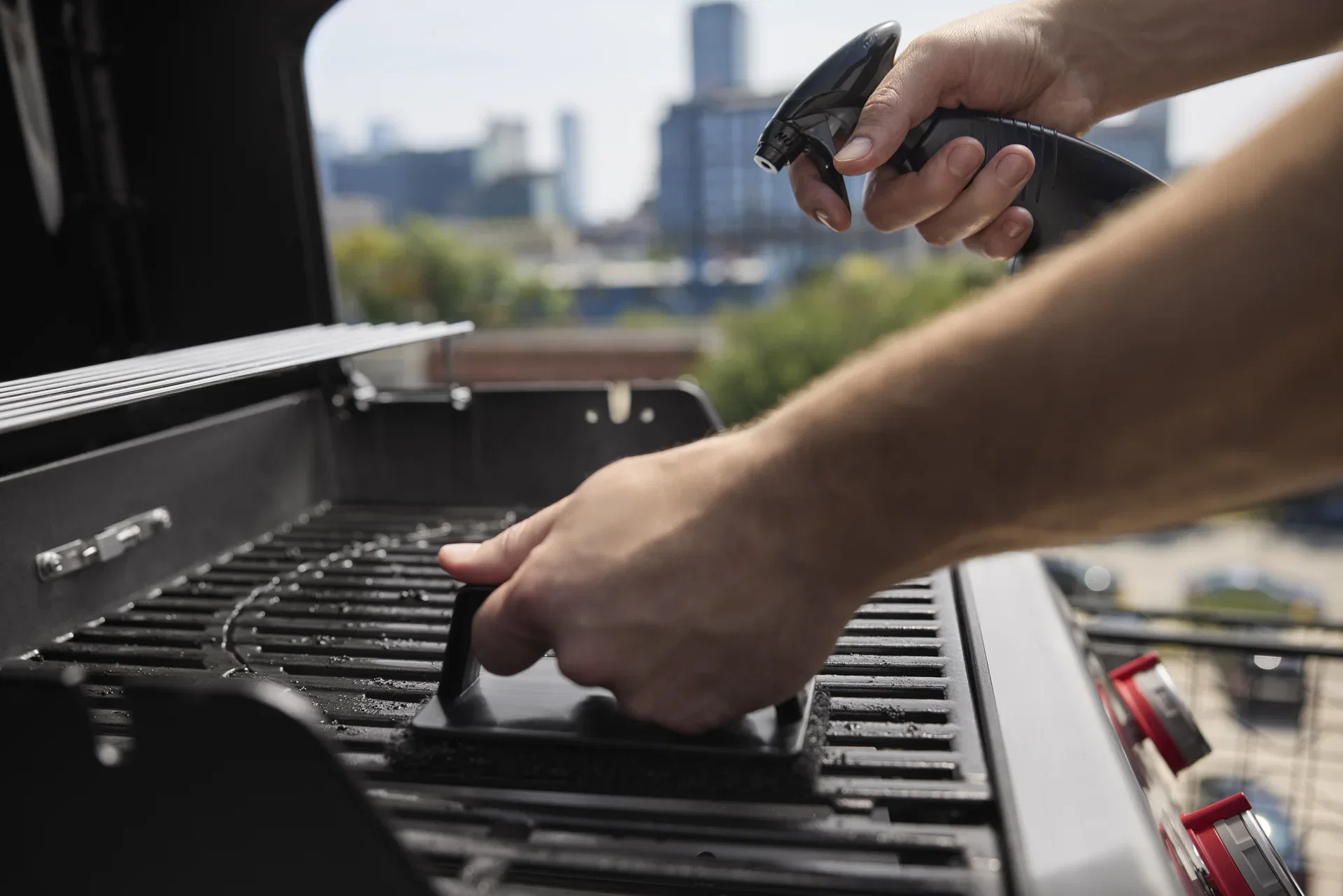 Gas Grill Spirit E-425