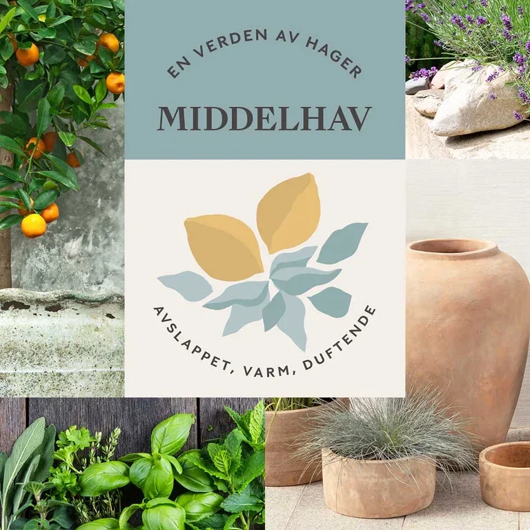 MIDDELHAVSHAGE - avslappende, varm og duftende
