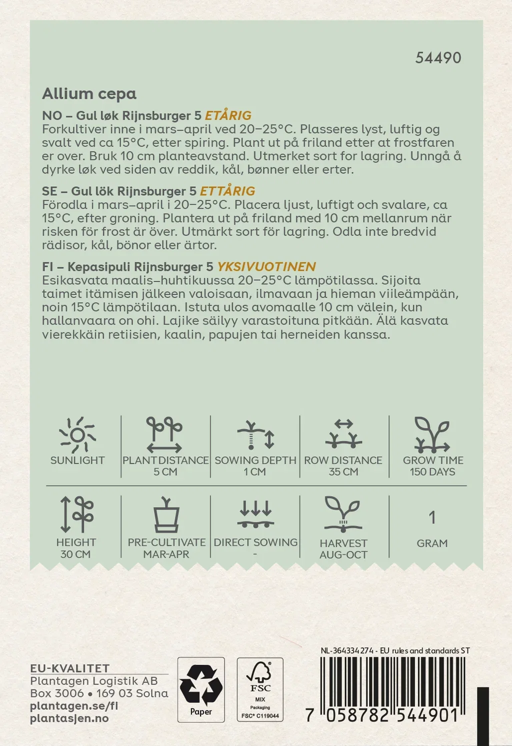 Gul løk 'Rijnsburger'