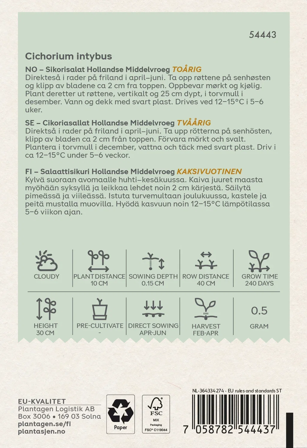 Sikorisalat  'Hollandse Middelvroeg' (Skal 014218) - Organic